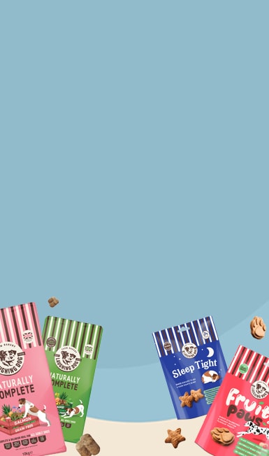 373148201 mobile banner 2 min | Laughing Dog Food