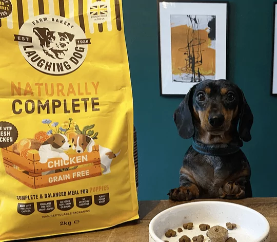 is grain free food good for puppies? | Laughing Dog Food