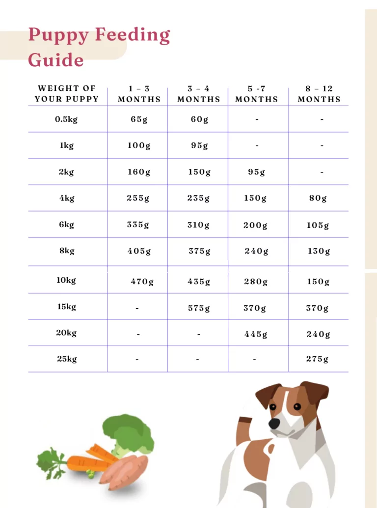 How Much Food To Feed My Dog & Feeding Chart By Weight