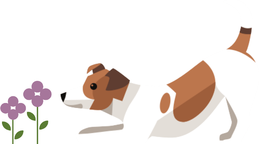 dog flowers | Laughing Dog Food dog flowers | Laughing Dog Food