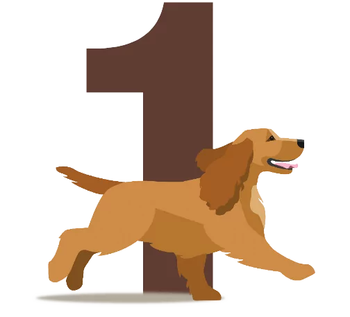 step 1 | Laughing Dog Food step 1 of starting a subscription