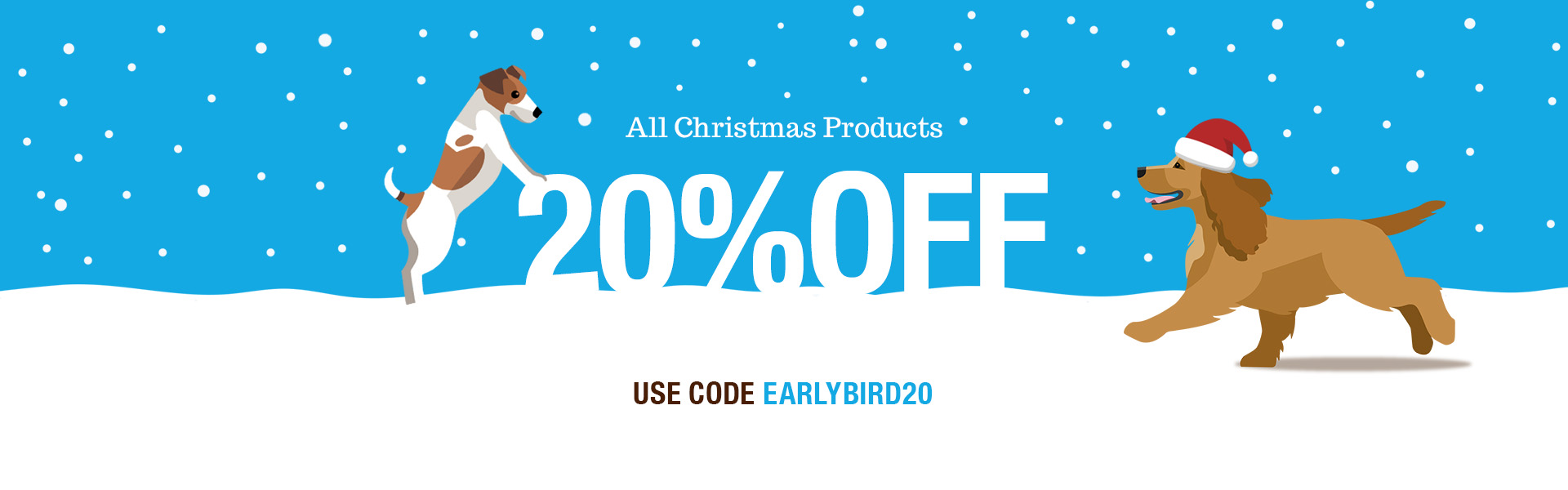 Early bird Christmas offer
