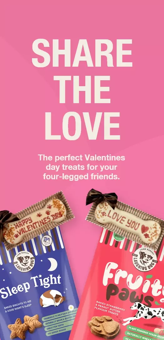 LD Valentines Day Banner Mobile | Laughing Dog Food