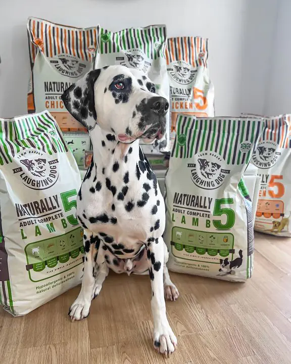 Cece and Podge | Laughing Dog Food