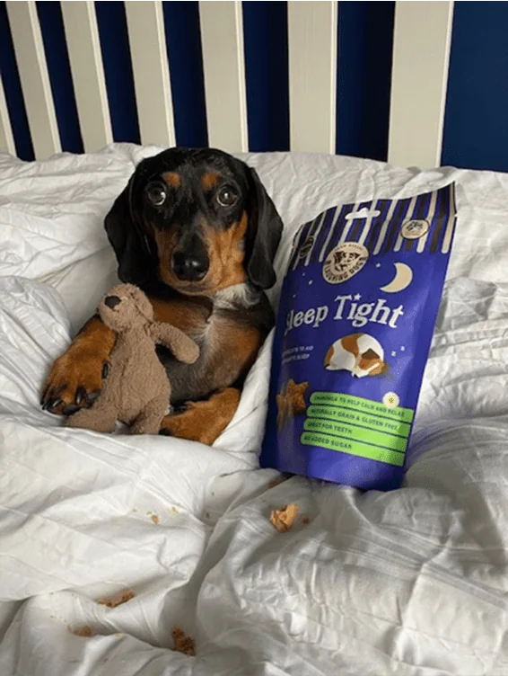 Sleep Tight dog in bed | Laughing Dog Food