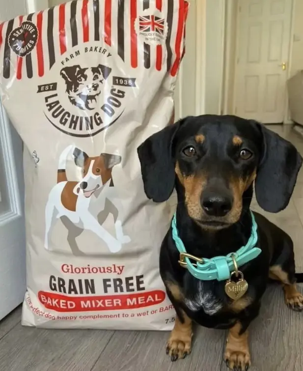 Laughing dog bakery sale