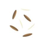 LD Rice Transparent background | Laughing Dog Food