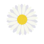 LD Chamomile | Laughing Dog Food