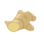 LD Ginger | Laughing Dog Food