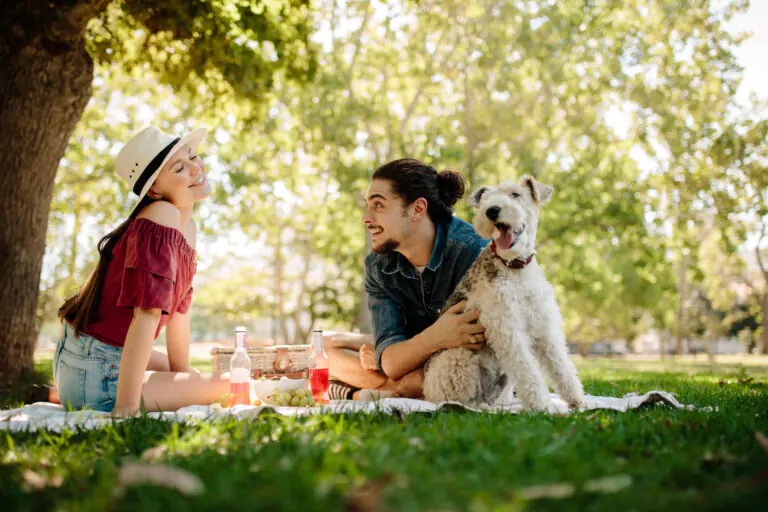 Picnic