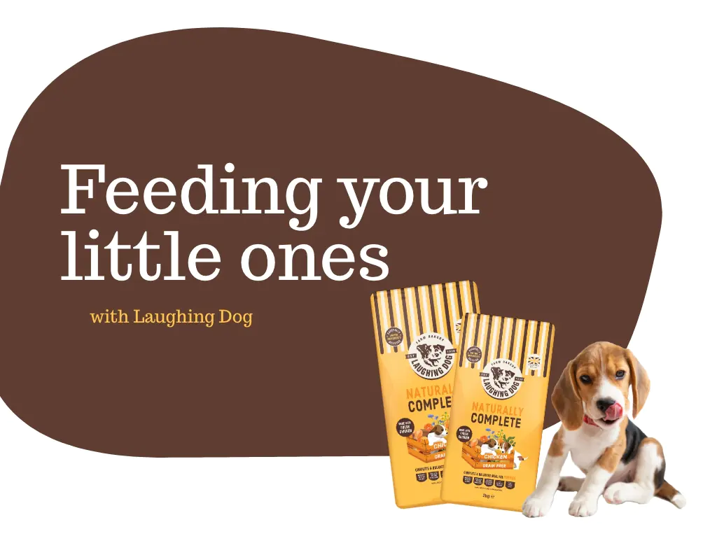Tablet banner