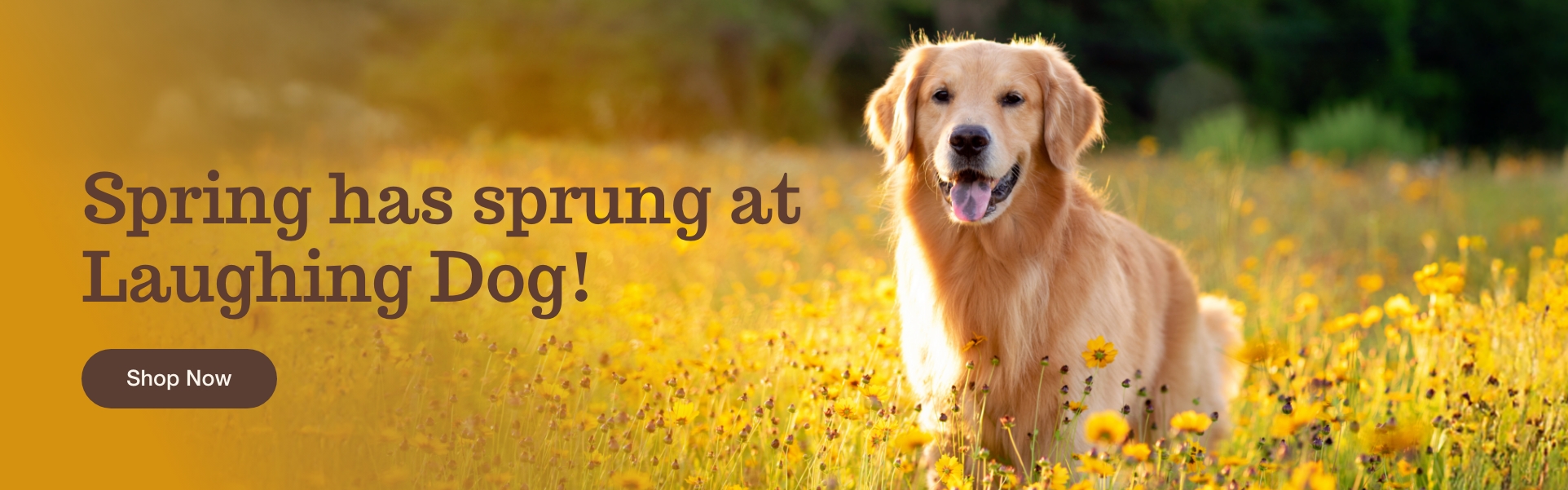 Spring has sprung Banner 1 1 | Laughing Dog Food
