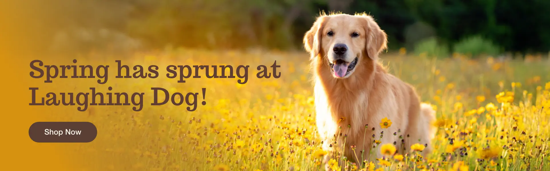 Spring has sprung Banner 1 1 | Laughing Dog Food