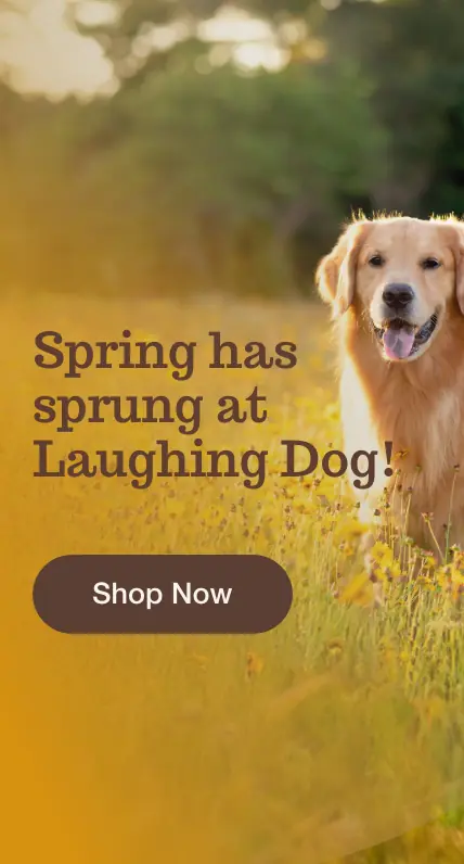 Spring has sprung Banner 3 1 | Laughing Dog Food