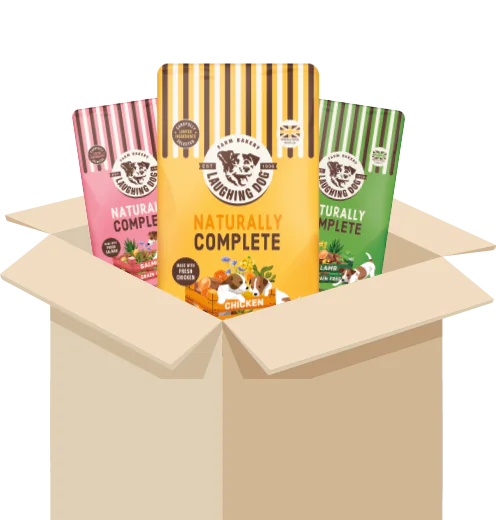 Dog food subscription