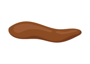 Dog poo