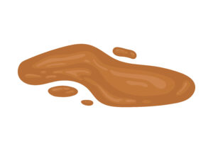 Dog poo