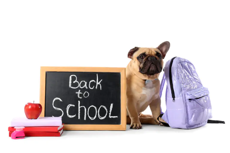 Back to school